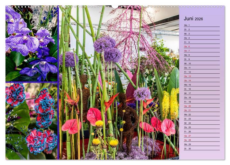 Produktbild: Gartenschau in Erfurt (Wandkalender 2026 DIN A2 quer), CALVENDO Monatskalender