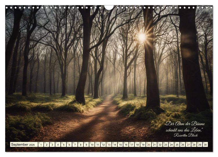 Produktbild: Waldbaden - Shinrin Yoku (Wandkalender 2026 DIN A3 quer), CALVENDO Monatskalender