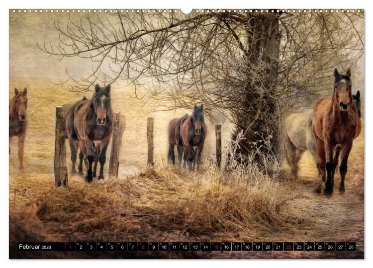 Produktbild: Western und Pferde (Wandkalender 2026 DIN A2 quer), CALVENDO Monatskalender