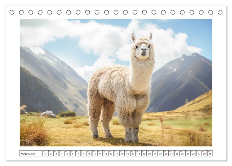 Produktbild: Die Welt der Alpakas (Tischkalender 2026 DIN A5 quer), CALVENDO Monatskalender