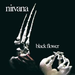 Produktbild: Black Flower: Remastered & Expanded Edition