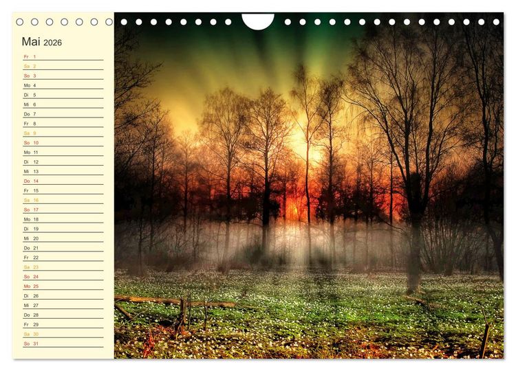Produktbild: Friesland, verzauberte Landschaft an der Nordsee (Wandkalender 2026 DIN A4 quer), CALVENDO Monatskalender