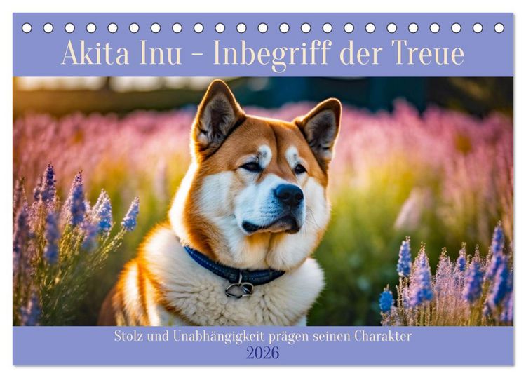 Produktbild: Akita Inu - Inbegriff der Treue (Tischkalender 2026 DIN A5 quer), CALVENDO Monatskalender