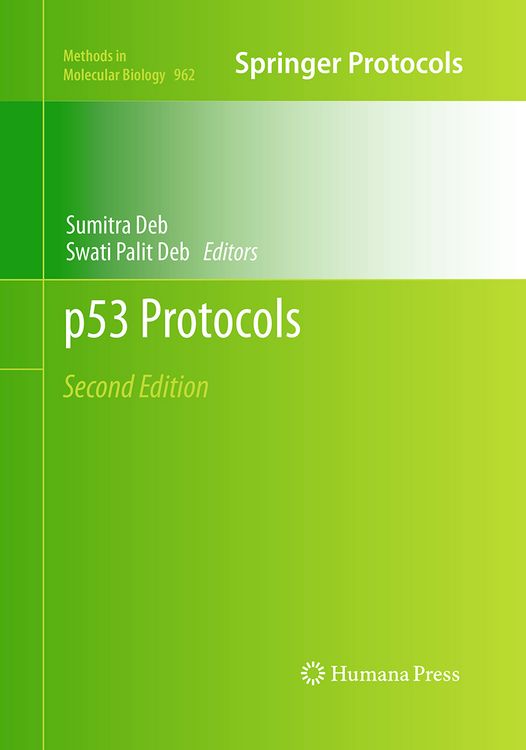Produktbild: P53 Protocols