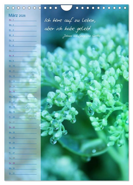 Produktbild: Blumen & Zitate / Geburtstagskalender (Wandkalender 2026 DIN A4 hoch), CALVENDO Monatskalender