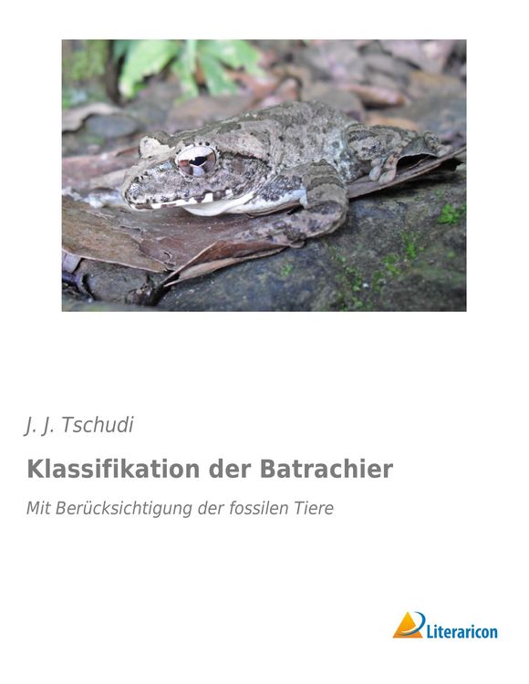 Produktbild: Klassifikation der Batrachier