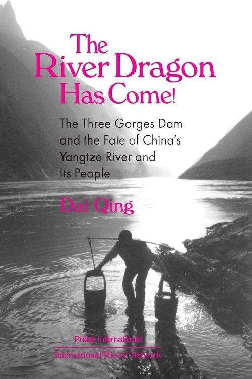 Produktbild: The River Dragon Has Come!