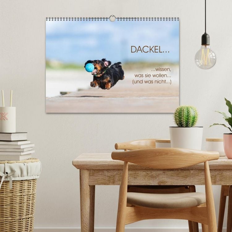 Produktbild: DACKEL... wissen was sie wollen... (und was nicht...) (Wandkalender 2026 DIN A3 quer), CALVENDO Monatskalender