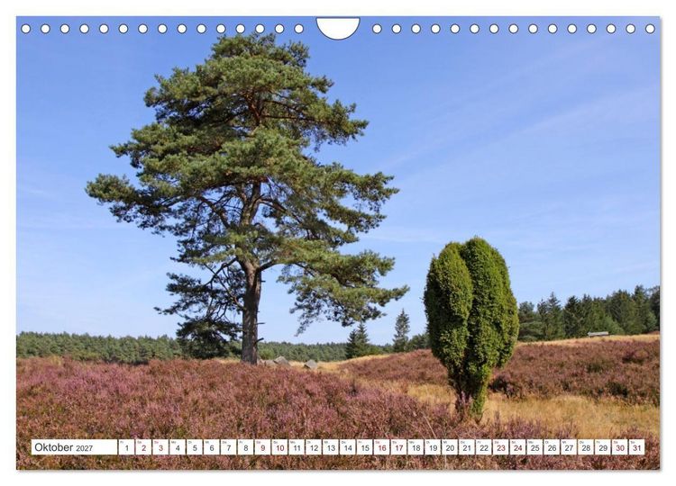 Produktbild: Die L&uuml;neburger Heide - Ausflugsziel im Norden (Wandkalender 2027 DIN A4 quer), CALVENDO Monatskalender