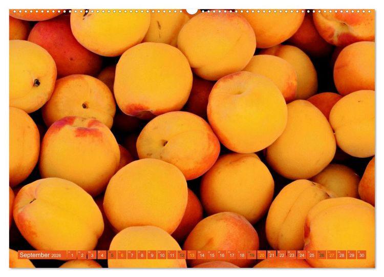 Produktbild: ORANGE - Gem&uuml;se und Obst -Vitaminreich (Wandkalender 2026 DIN A2 quer), CALVENDO Monatskalender