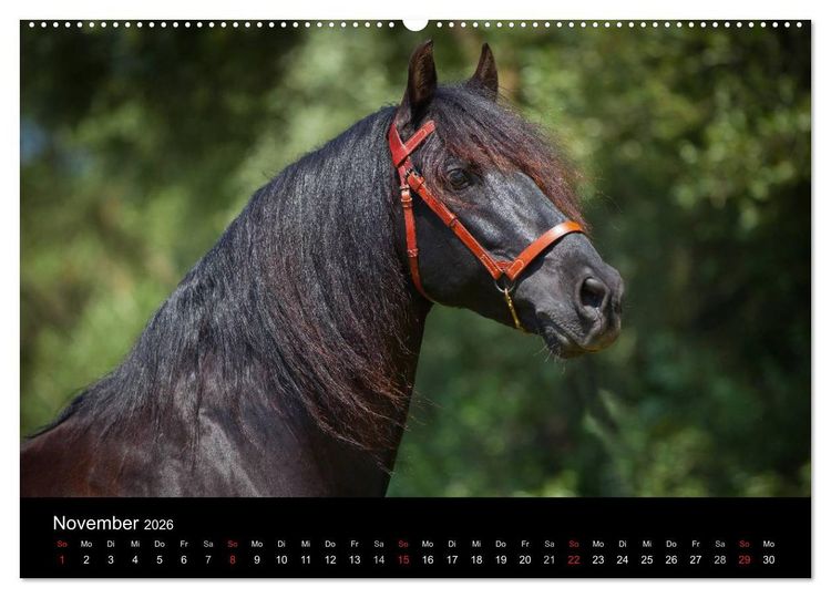 Produktbild: Spaniens stolze Pferde (hochwertiger Premium Wandkalender 2026 DIN A2 quer), Kunstdruck in Hochglanz
