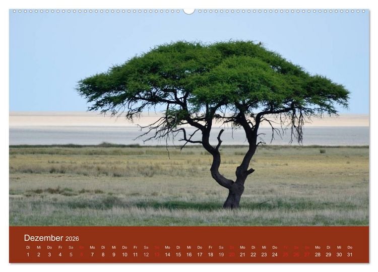Produktbild: Namibia (Wandkalender 2026 DIN A2 quer), CALVENDO Monatskalender