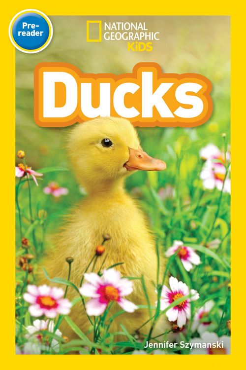 Produktbild: Ducks (National Geographic Kids Readers, Pre-Reader)