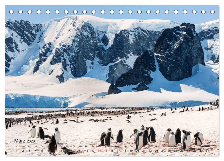 Produktbild: Antarktis, die eisige Heimat der Pinguine (Tischkalender 2026 DIN A5 quer), CALVENDO Monatskalender