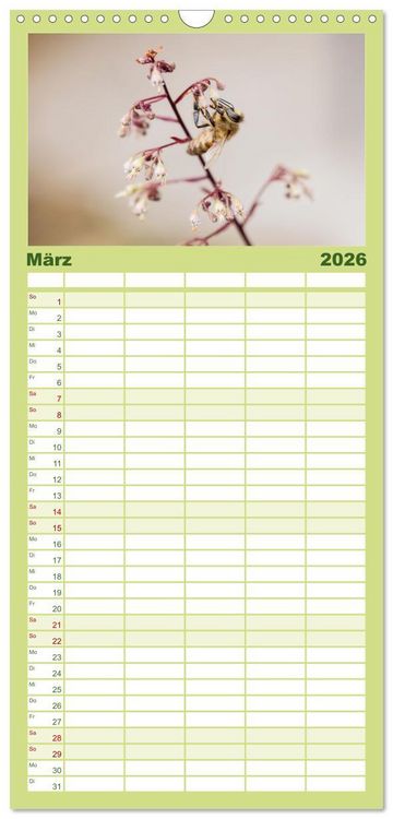 Produktbild: Familienplaner 2026 - Die Wunderwelt der Biene mit 5 Spalten (Wandkalender, 21 x 45 cm) CALVENDO