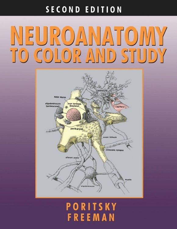 Produktbild: Neuroanatomy to Color and Study