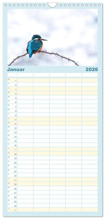 Produktbild: Familienplaner 2026 - Eisvogel im Portr&auml;t mit 5 Spalten (Wandkalender, 21 x 45 cm) CALVENDO