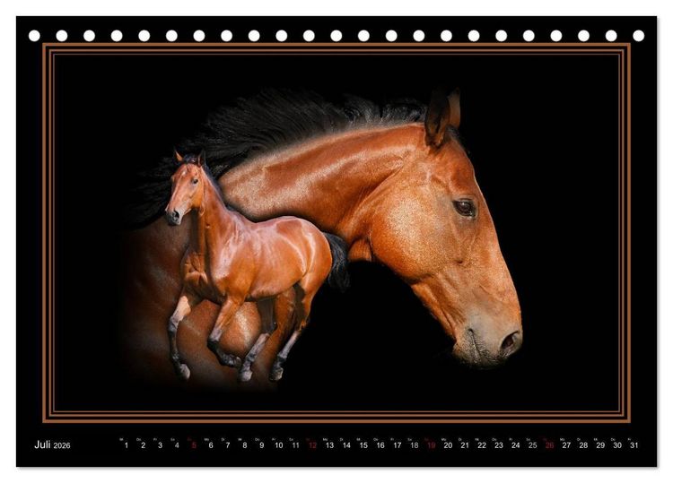 Produktbild: Traumpferde-ART-Collection (Tischkalender 2026 DIN A5 quer), CALVENDO Monatskalender