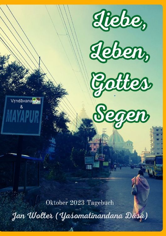 Produktbild: Transzendentale Tageb&uuml;cher / Liebe, Leben, Gottes Segen
