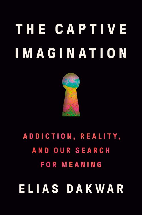 Produktbild: The Captive Imagination