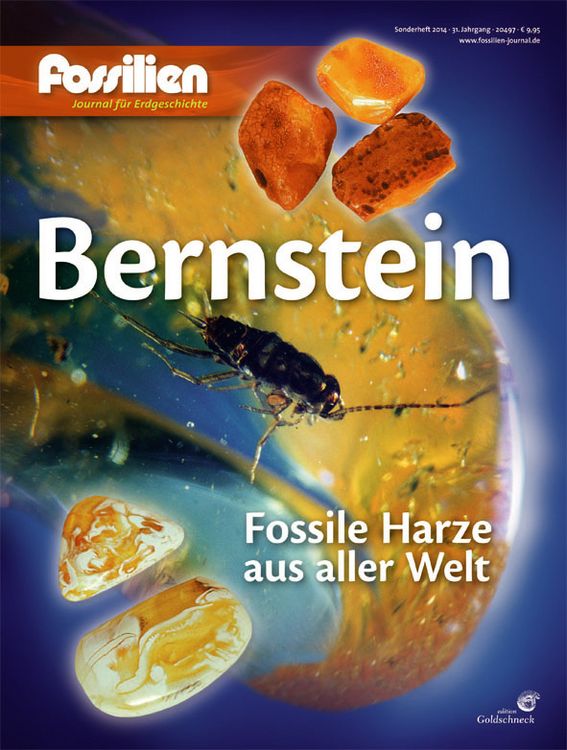 Produktbild: Bernstein