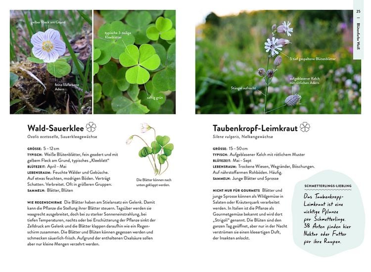 Produktbild: Nature Guide Wildpflanzen