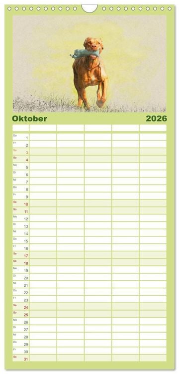Produktbild: Familienplaner 2026 - Magyar Vizsla 2026 mit 5 Spalten (Wandkalender, 21 x 45 cm) CALVENDO