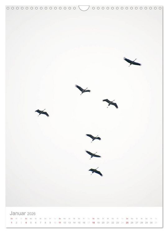 Produktbild: Der Flug der Kraniche (Wandkalender 2026 DIN A3 hoch), CALVENDO Monatskalender