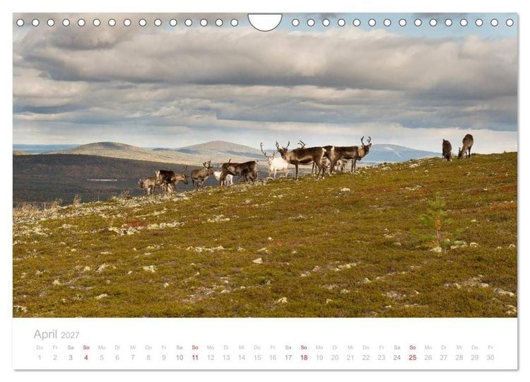 Produktbild: Heimat der Samen (Wandkalender 2027 DIN A4 quer), CALVENDO Monatskalender