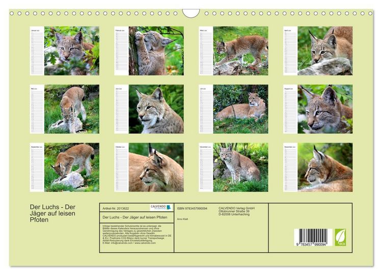 Produktbild: Der Luchs - Der J&auml;ger auf leisen Pfoten (Wandkalender 2026 DIN A3 quer), CALVENDO Monatskalender