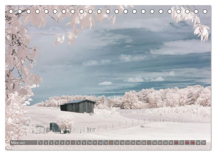 Produktbild: Lychen - zwischen Wald und Seen (Tischkalender 2027 DIN A5 quer), CALVENDO Monatskalender