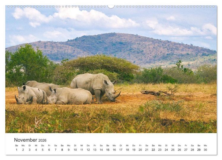 Produktbild: Safari durch Afrika (hochwertiger Premium Wandkalender 2026 DIN A2 quer), Kunstdruck in Hochglanz