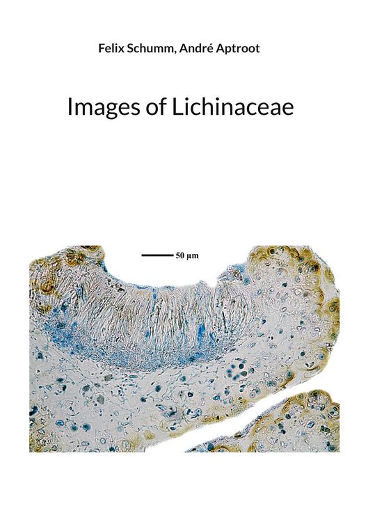 Produktbild: Images of Lichinaceae