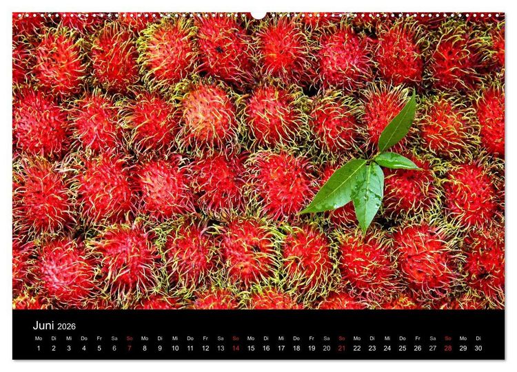 Produktbild: Tropenparadies Thailand 2026 (Wandkalender 2026 DIN A2 quer), CALVENDO Monatskalender