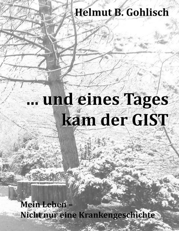 Produktbild: ... und eines Tages kam der GIST