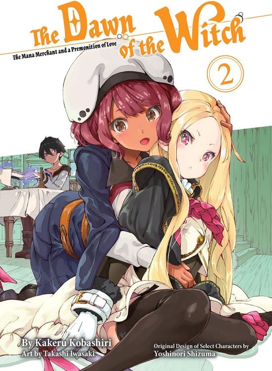 Produktbild: The Dawn of the Witch 2 (Light Novel)