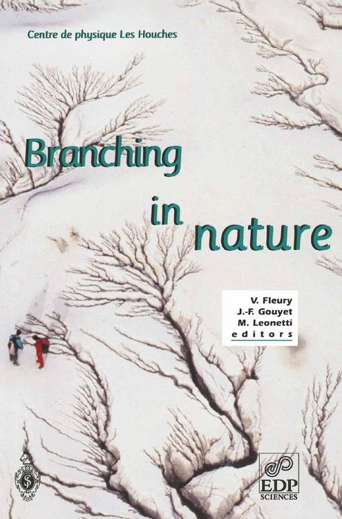 Produktbild: Branching in Nature