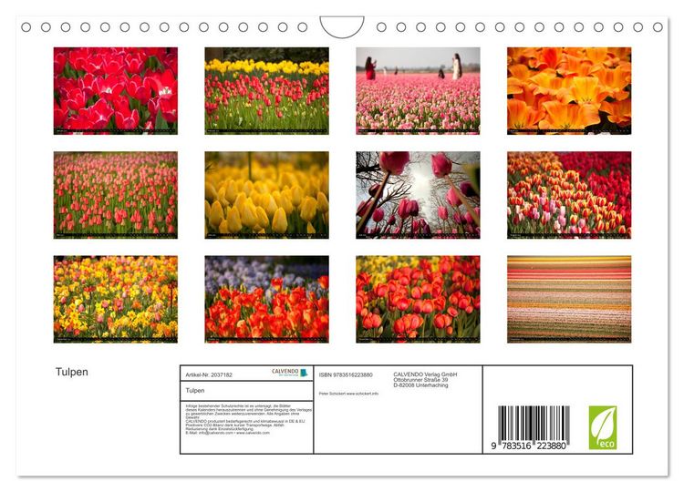 Produktbild: Tulpen (Wandkalender 2026 DIN A4 quer), CALVENDO Monatskalender
