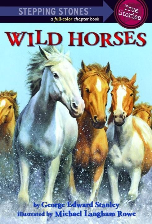 Produktbild: Wild Horses