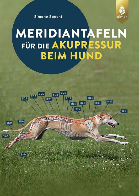 Produktbild: Meridiantafeln f&uuml;r die Akupressur beim Hund