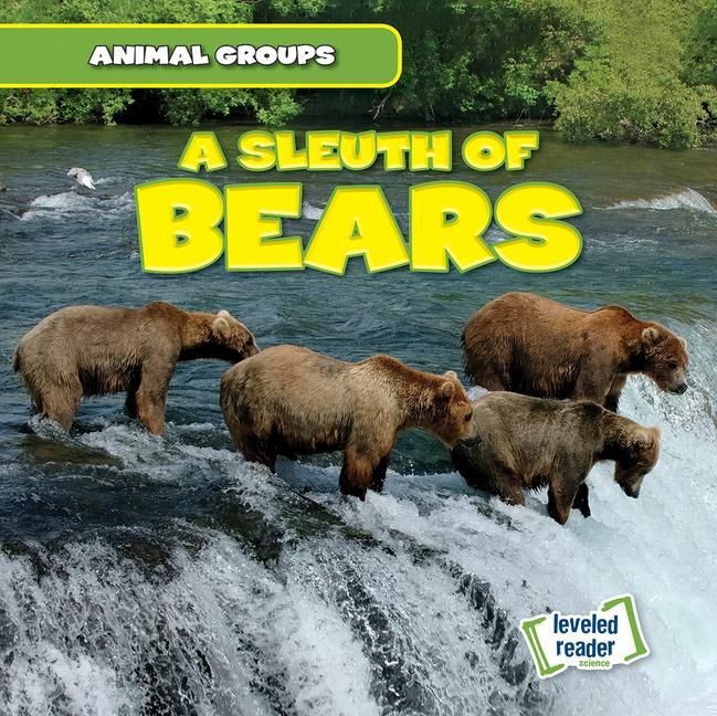 Produktbild: A Sleuth of Bears