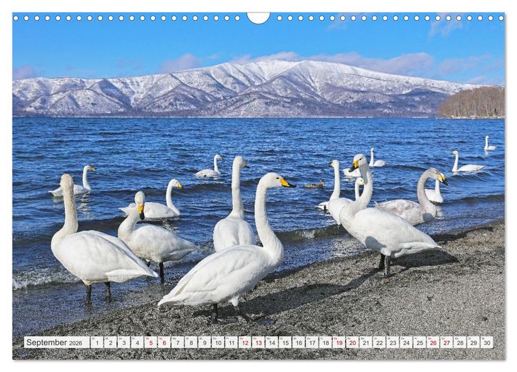 Produktbild: Wildes Japan - Hokkaido im Winter (Wandkalender 2026 DIN A3 quer), CALVENDO Monatskalender