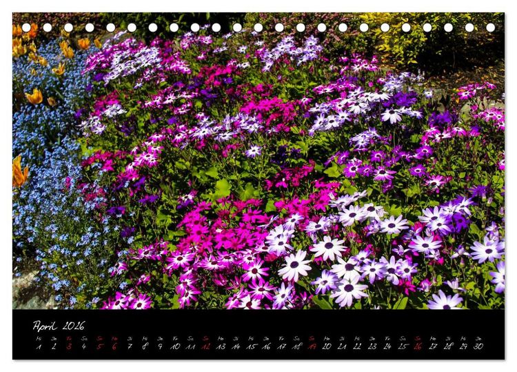 Produktbild: Butchart Gardens 2026 (Tischkalender 2026 DIN A5 quer), CALVENDO Monatskalender