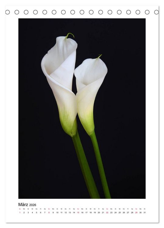 Produktbild: Poesie wei&szlig;er Bl&uuml;ten (Tischkalender 2026 DIN A5 hoch), CALVENDO Monatskalender