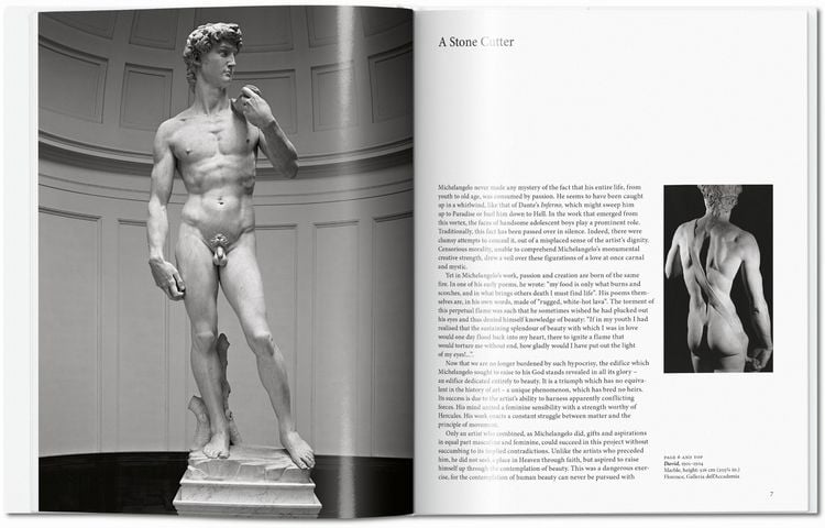 Produktbild: Michelangelo