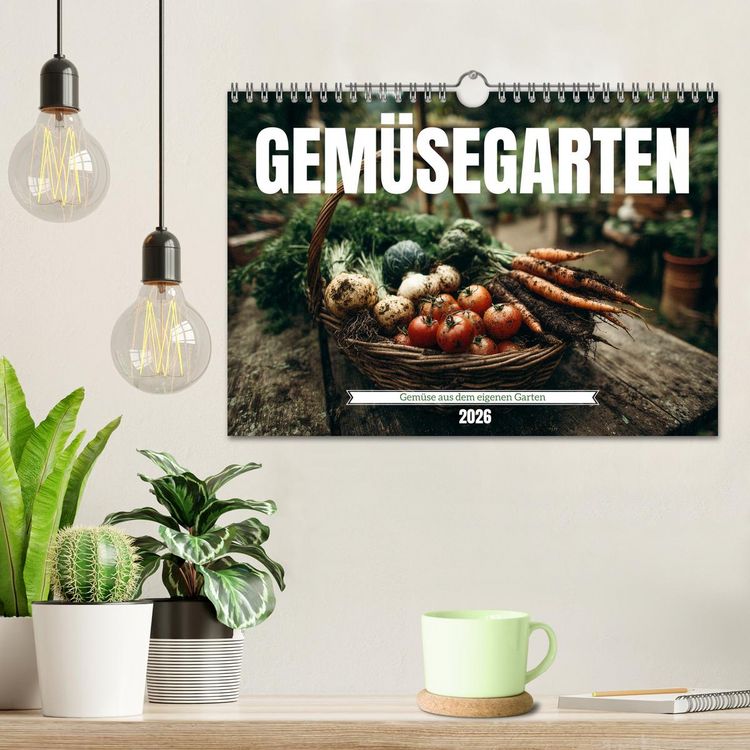 Produktbild: Gem&uuml;segarten - Gem&uuml;se aus dem eigenen Garten (Wandkalender 2026 DIN A4 quer), CALVENDO Monatskalender