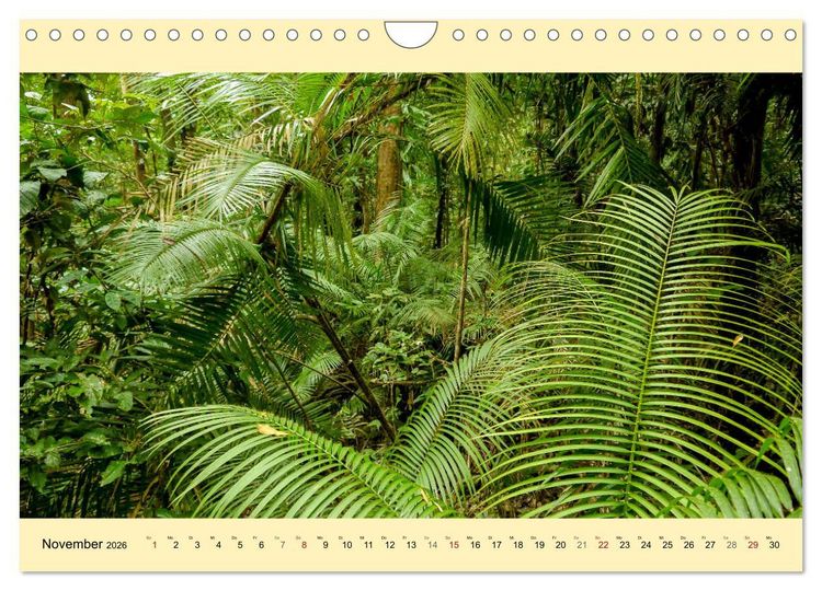 Produktbild: Australien - Der vielseitige Osten (Wandkalender 2026 DIN A4 quer), CALVENDO Monatskalender