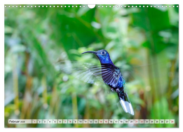 Produktbild: Costa Rica - Tierwelt und Landschaften (Wandkalender 2026 DIN A3 quer), CALVENDO Monatskalender