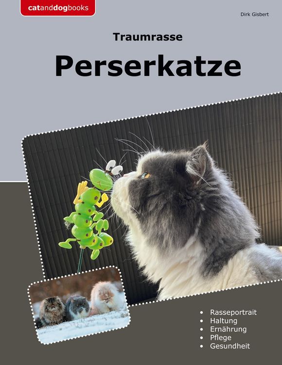 Produktbild: Traumrasse Perserkatze