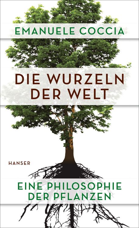 Produktbild: Die Wurzeln der Welt
